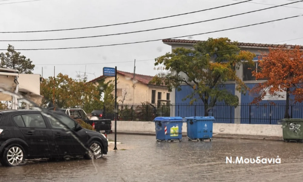 Προβλήματα λόγω ξαφνικής νεροποντής στη Χαλκιδική (Βίντεο)